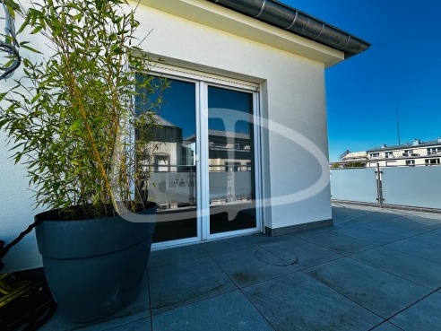 WhatsApp Image 2025-04-30 at 11.13.46 (12).jpeg